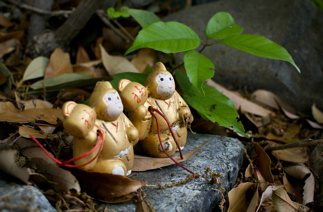 Discarded Zodiac Figurines at the Local Shrine, Osaka